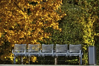Row of chairs against an autumnal backdrop