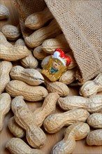 Peanuts and chocolate figure in sack