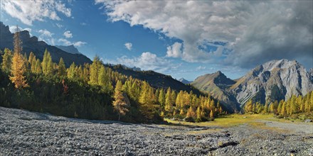 Glowing autumnal mountain forest below the Lamsenjoch massif with Gamsjoch peak