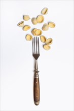 Orecchiette with fork
