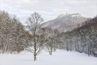Winter landscape near Bad Urach