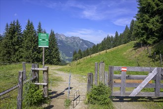 Gate and warning sign above the Hirschgrubenalm