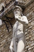 Statue David by Michelangelo in front of the Palazzo Vecchio on the Piazza della Signoria