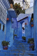 Blue Staircase in Blue City Chefchaouen