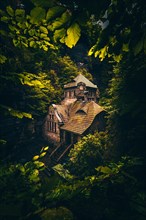 Old gasworks made of solid stone with stone steps in the middle of a gorge with forest and trees. Hrensko Czech Republic