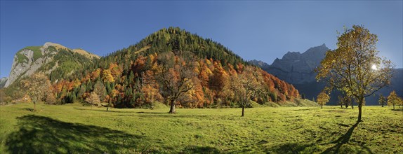 Grosser Ahornboden Panorama with autumnal colourful maple trees in low sun below the Spritzkar and Baerenkopf Karwendel peaks
