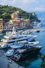 Luxury yachts anchored in Portofino harbour