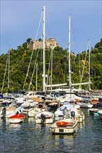 Boats and sailing yachts anchor in the harbour of Portofino