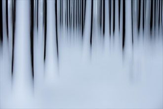 Winter forest artistically blurred