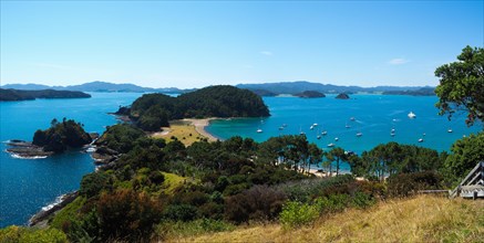 Boats anchored in the Bay of Islands