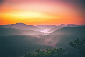 View from the sandstone rock Wachtfelsen to the sunrise