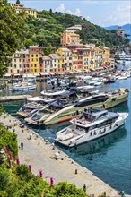 Luxury yachts anchor in the harbour of Portofino