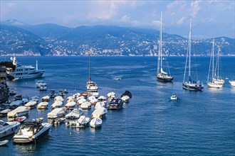 Boats and sailing yachts anchor in front of the harbour of Portofino