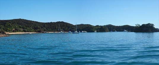 Boats anchored in the Bay of Islands