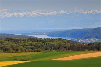 View of the Alps from Witthoh
