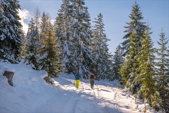Two woman hiking on a forest path in the snow to the Kotalm