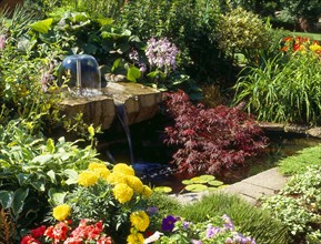Water garden with fountain with summer garden pond