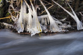 Icicles on a flowing stream
