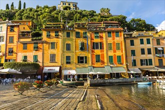 Pastel-coloured house facades at the harbour of Portofino