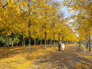 Strollers and autumnal impressions in a Berlin park