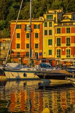 Pastel-coloured house facades are reflected in the harbour of Portofino