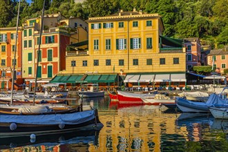 Boats anchor in Portofino harbour in front of pastel-coloured house facades