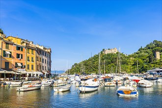 Sailing yachts and boats anchored in Portofino harbour