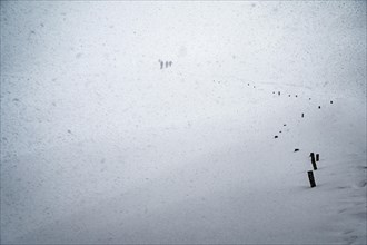 Ski tourers in heavy snowfall