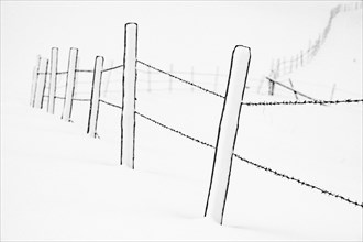 Snow-covered pasture fence in wintry landscape