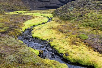 Small stream flowing through lava field covered with