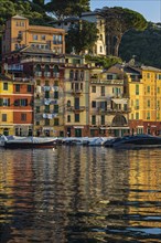 Pastel-coloured house facades are reflected in the harbour of Portofino