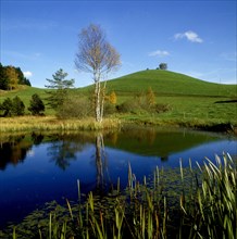 Small pond in the Black Forest