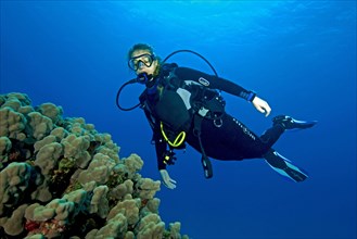 Young female scuba diver looking up swimming over dome coral