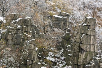 First snow on the autumnal slopes of the Bode Valley in the Harz Mountains