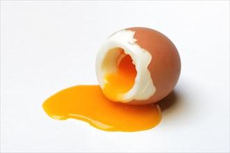Soft boiled breakfast egg