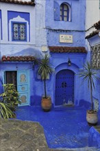 Blue Entrance of Pension in Blue City Chefchaouen