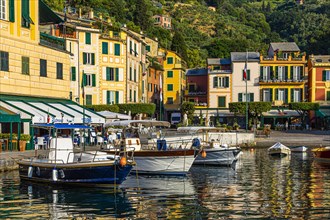 Boats anchor in Portofino harbour in front of pastel-coloured house facades