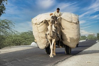 Fully loaded camel cart