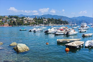 Boats anchoring in the harbour of Santa Margherita