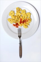 Pasta on plate with fork
