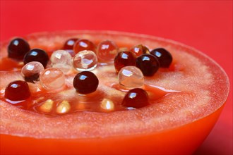 Aceto pearls on tomato