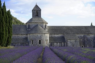 Cistercian abbey Abbaye Notre-Dame de Senanque
