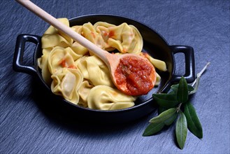 Pasta in pot and cooking spoon with tomato sauce