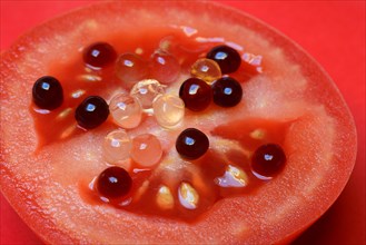 Aceto pearls on tomato slice