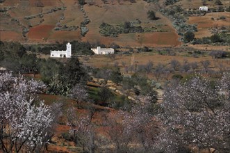 White houses and almond blossom in the Rif Mountains