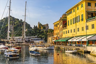 Boats and luxury yachts anchored in the morning light in the harbour of Portofino