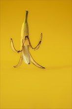Banana with peel against a yellow background