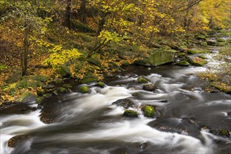 River Bode in the autumnal Harz Mountains