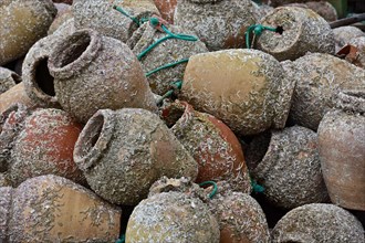 Clay jars filled with seaweed for lobster fishing