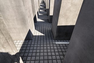Narrow paved paths through cuboid concrete stelae